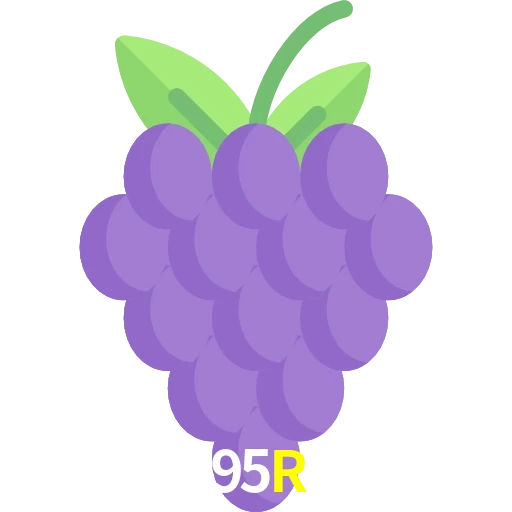 95R
